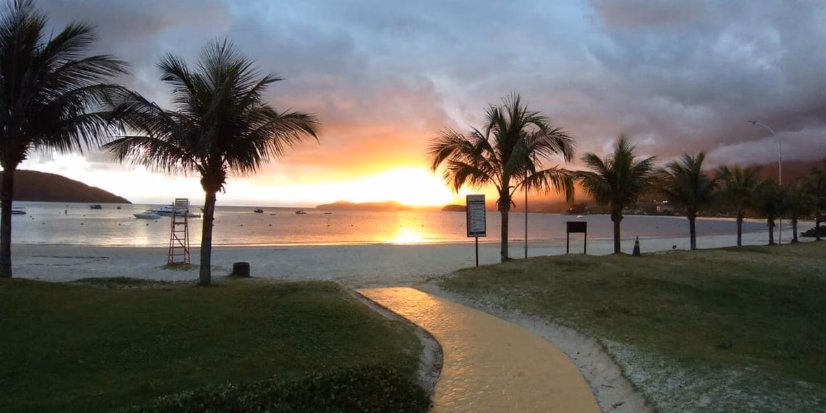 Como criar um canto verde em apartamento que fique bonito o ano inteiro