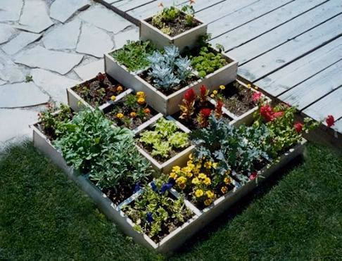 Horta com pouco sol: o que realmente produz em meia-sombra