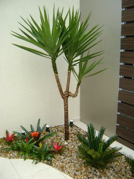 Jardim pequeno e bonito: 15 ideias realistas para casas compactas