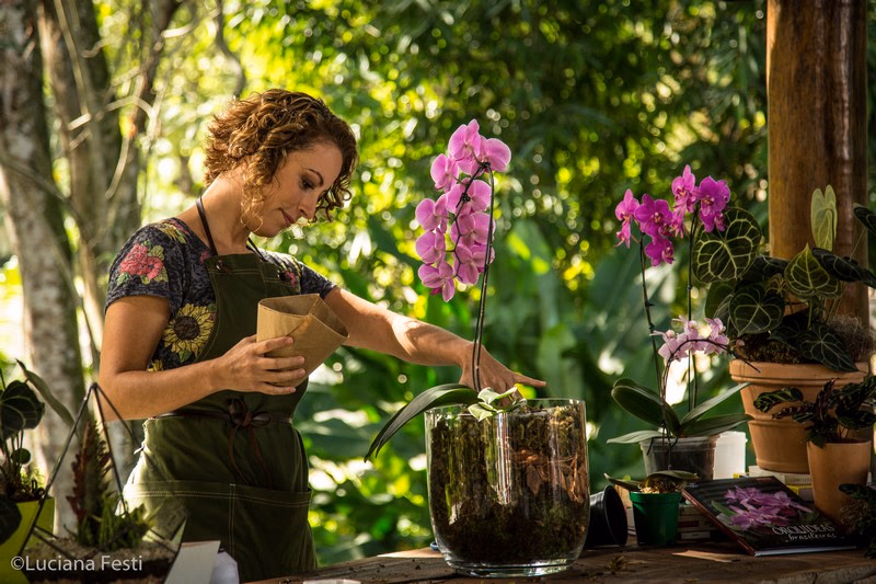 Como montar jardineiras produtivas para folhas e temperos