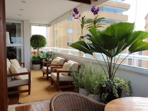 O que plantar na varanda de apartamento: horta, flores e folhagens que funcionam