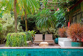 Plantas de baixa manutenção para quem não tem tempo de cuidar