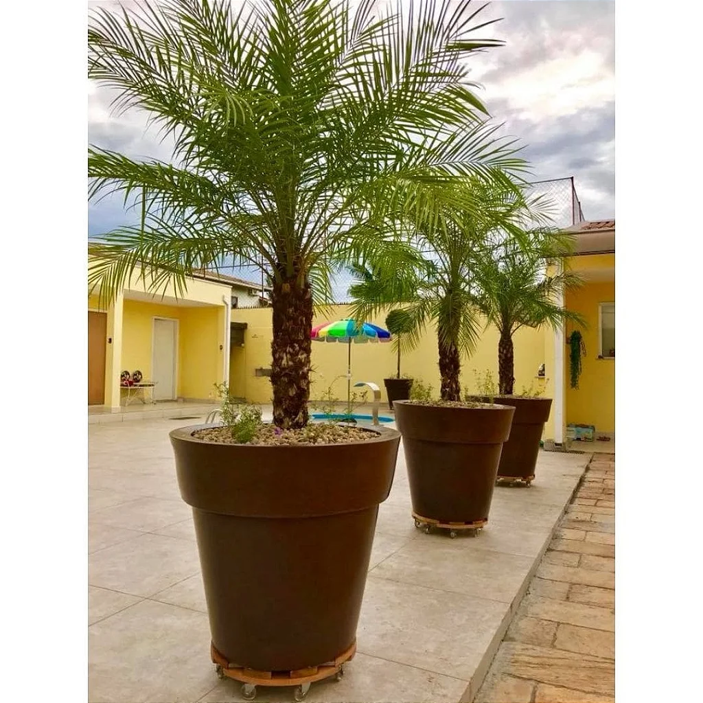 Opções de vasos de 1 metro para plantas de grande porte 1 Opções de vasos de 1 metro para plantas de grande porte